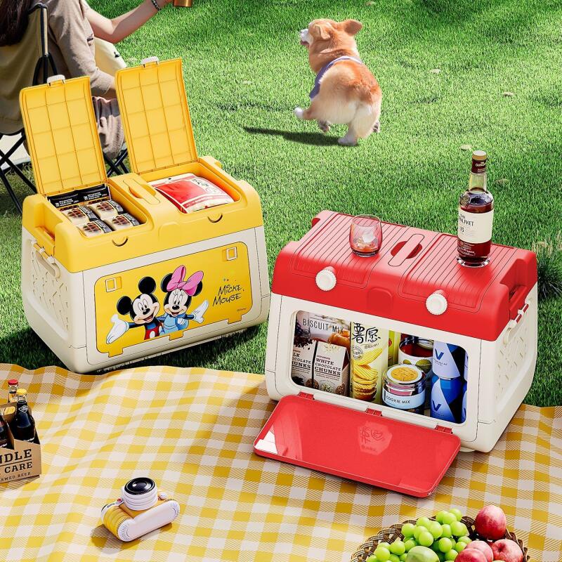 Disney Genuine Authorized Outd - đánh giá và giá Outdoor Camping Storage Box