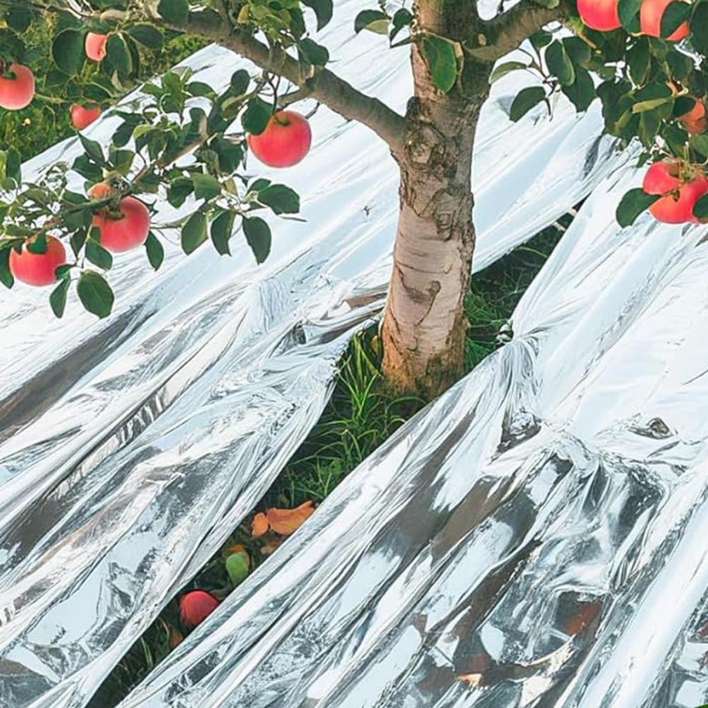 Emergency Thermal Blanket Upgr - đánh giá và giá Emergency Mylar Blanket